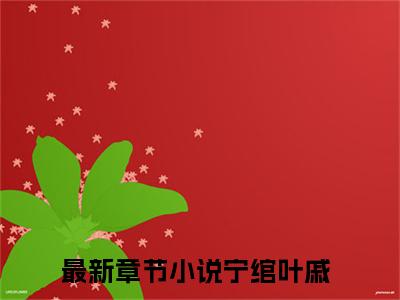 宁绾叶戚小说免费阅读宁绾叶戚小说全文免费阅读_（宁绾叶戚）宁绾叶戚最新章节列表笔趣阁