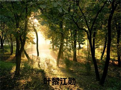 叶黎江勋（叶黎江勋）全文免费阅读无弹窗_叶黎江勋小说最新章节列表无删减_笔趣阁