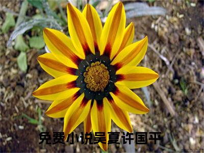 私藏读物吴夏许国平免费观看-抖音热门吴夏许国平(吴夏许国平)最新章节阅读