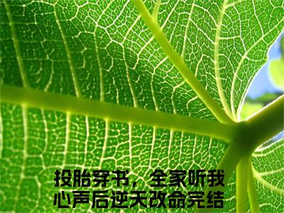 春惜春悦（投胎穿书，全家听我心声后逆天改命小说）全文在线阅读无弹窗大结局_（投胎穿书，全家听我心声后逆天改命小说）春惜春悦在线阅读无弹窗最新章节列表