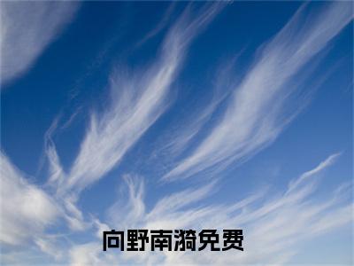 向野南漪（向野南漪）抖音热推小说全集无删减，向野南漪完整章节阅读