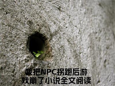 我把NPC拐跑后游戏崩了（我把NPC拐跑后游戏崩了）全文免费阅读无弹窗大结局_苏意沈慕白最新章节列表