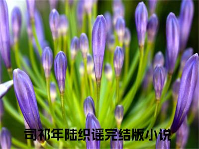 司祁年陆织谣(司祁年陆织谣)全文免费阅读无弹窗大结局_司祁年陆织谣最新章节列表