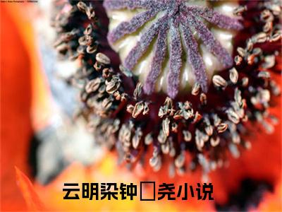 云明染钟璟尧全文免费阅读-云明染钟璟尧最新章节小说阅读