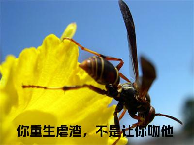 姜玥陆恒之（你重生虐渣，不是让你吻他）全文免费阅读_姜玥陆恒之小说最新章节列表笔趣阁