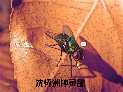 沈怀洲钟灵毓完结版小说全文在线免费阅读_沈怀洲钟灵毓最新章节列表_笔趣阁