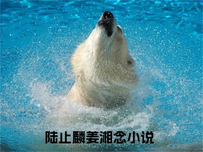 陆止麟姜湘念无弹窗免费阅读 陆止麟姜湘念大结局无删阅读_笔趣阁