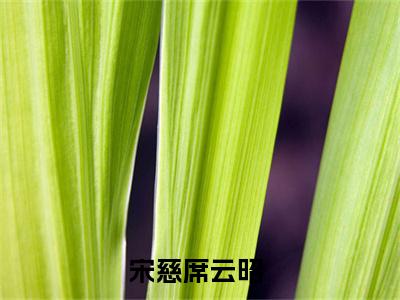 宋慈席云昭（暗欲小说）全文免费阅读无弹窗大结局_（宋慈席云昭小说）最新章节列表