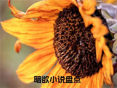 暗欲小说在线阅读全文无弹窗_宋慈席云昭小说最新全文完整无删减版