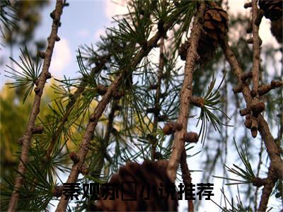 秦观苏媞小说《秦观苏媞》全章节阅读-秦观苏媞精彩小说全文赏析