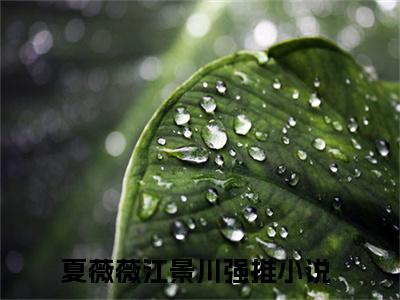 夏薇薇江景川（夏薇薇江景川）全文免费阅读无弹窗_夏薇薇江景川小说最新章节列表无删减_笔趣阁