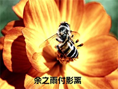 小说《余之雨付影离》全文免费阅读无弹窗-女主杀我三次，我摆烂了小说全文在线赏析