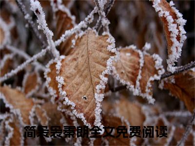 简袅袅秦朗在线阅读全文 (简袅袅秦朗免费大结局)小说无弹窗广告