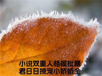 双重人格疯批暴君日日撩宠小娇娇（双重人格疯批暴君日日撩宠小娇娇）全文免费阅读无弹窗_宋妧谢行之小说免费阅读_笔趣阁