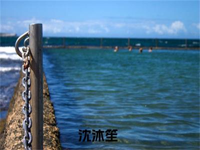 死遁后，剧情都崩了（沈沐笙）全文免费阅读大结局_死遁后，剧情都崩了最新章节列表_笔趣阁