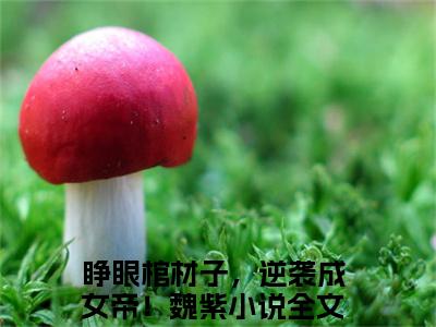 睁眼棺材子，逆袭成女帝！魏紫(睁眼棺材子，逆袭成女帝！魏紫)全文免费阅读大结局_睁眼棺材子，逆袭成女帝！魏紫全文在线完本阅读