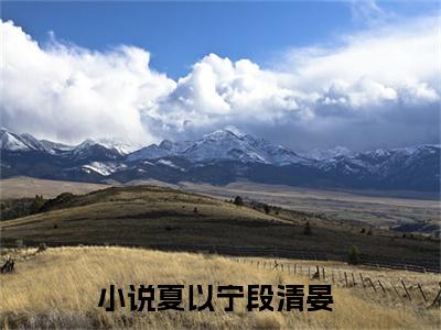 夏以宁段清晏小说（夏以宁段清晏）全文免费阅读无弹窗大结局_夏以宁段清晏最新章节列表_笔趣阁