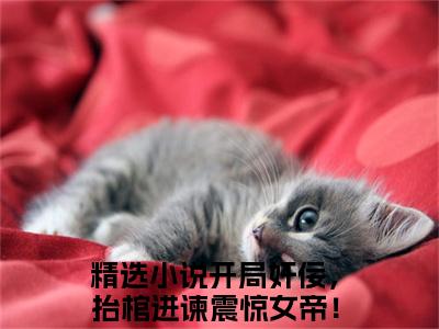 开局奸佞，抬棺进谏震惊女帝！曹琰小说全文免费阅读无弹窗大结局-开局奸佞，抬棺进谏震惊女帝！曹琰 小说在哪里可以看