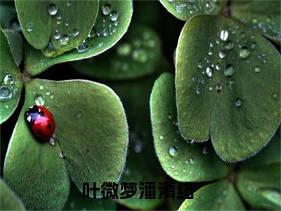 叶微梦潘清络是哪部小说的主角-（叶微梦潘清络）全文无弹窗完整版阅读