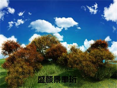 盛颜景聿珩小说（盛颜景聿珩）全文免费阅读无弹窗大结局_(盛颜景聿珩)盛颜景聿珩小说免费阅读无弹窗最新章节列表_笔趣阁（盛颜景聿珩）