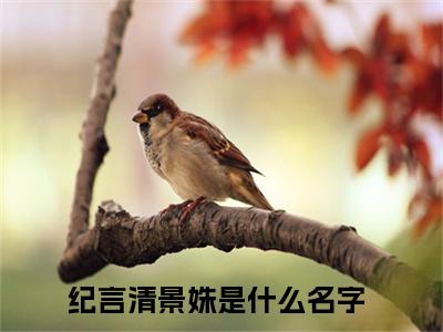 （纪言清景姝）全文免费阅读无弹窗大结局_纪言清景姝免费最新章节列表_笔趣阁