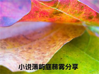 薄屿庭林雾全文免费在线阅读-薄屿庭林雾小说全文免费阅读无弹窗大结局