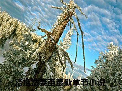 洛淮然姜苗(洛淮然姜苗小说)全文免费阅读无弹窗大结局_(洛淮然姜苗小说免费阅读全文大结局)最新章节列表_笔趣阁（洛淮然姜苗小说）