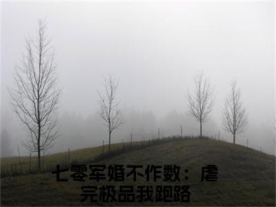 七零军婚不作数：虐完极品我跑路（简袅袅）完整全文在线阅读_简袅袅小说全章节目录阅读（七零军婚不作数：虐完极品我跑路）