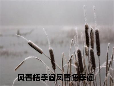 凤青梧季阎小说（凤青梧季阎）全文免费阅读无弹窗大结局_凤青梧季阎最新章节列表（凤青梧季阎）