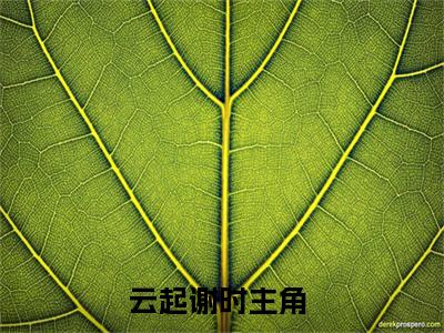 《云起谢时》最新章节免费阅读-云起谢时无广告小说精彩阅读