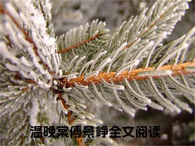 温晚棠傅景峥（温晚棠傅景峥）全文免费阅读无弹窗大结局_ 温晚棠傅景峥免费阅读无弹窗最新章节列表_笔趣阁