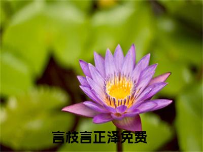 言枝言正泽（言枝言正泽）全文免费阅读大结局-言枝言正泽小说全文免费阅读最新章节列表