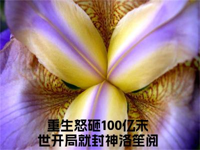 重生怒砸100亿末世开局就封神洛笙小说（重生怒砸100亿末世开局就封神洛笙）完整版大结局-重生怒砸100亿末世开局就封神洛笙小说完结版在线阅读