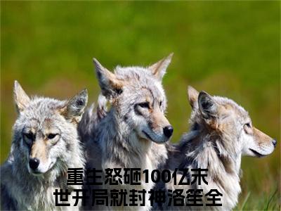 重生怒砸100亿末世开局就封神洛笙全文免费阅读无弹窗大结局-重生怒砸100亿末世开局就封神洛笙在线阅读