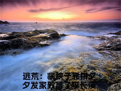 逃荒：病秧子靠拼夕夕发家致富了李长溪（逃荒：病秧子靠拼夕夕发家致富了李长溪）小说全文免费阅读无弹窗大结局_（逃荒：病秧子靠拼夕夕发家致富了李长溪）小说全文免费阅读最新章节列表笔趣阁