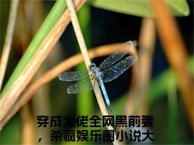 赵清欢陆淮年小说无弹窗（穿成大佬全网黑前妻，杀疯娱乐圈）全文免费阅读无弹窗大结局_穿成大佬全网黑前妻，杀疯娱乐圈最新章节列表_笔趣阁