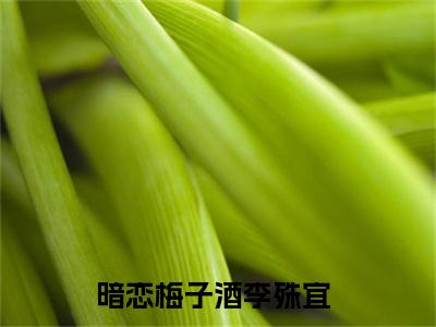 最火言情小说（暗恋梅子酒李殊宜）-老书虫良心推荐暗恋梅子酒李殊宜（暗恋梅子酒李殊宜）小说精彩免费试读