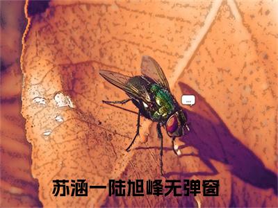 苏涵一陆旭峰(苏涵一陆旭峰)全文免费阅读无弹窗大结局_苏涵一陆旭峰全文阅读_笔趣阁（苏涵一陆旭峰）