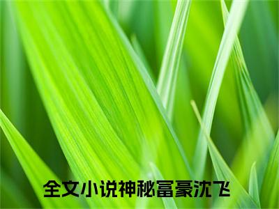 全章节完整《神秘富豪沈飞》全文阅读《神秘富豪沈飞》