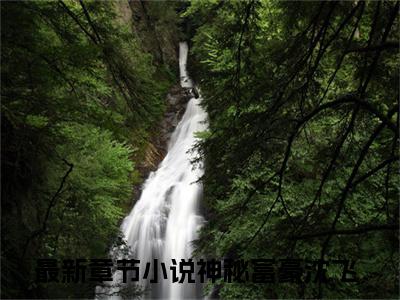 神秘富豪沈飞经典小说无广告小说免费阅读 神秘富豪沈飞全章节免费阅读