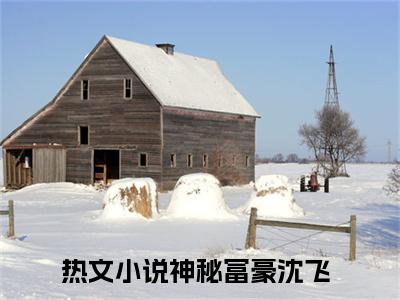 神秘富豪沈飞（神秘富豪沈飞）全文免费阅读无弹窗_神秘富豪沈飞最新小说_笔趣阁（神秘富豪沈飞）