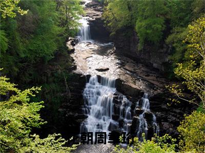 花朝周聿珩小说免费阅读花朝周聿珩小说全文免费阅读_（花朝周聿珩）花朝周聿珩最新章节列表笔趣阁