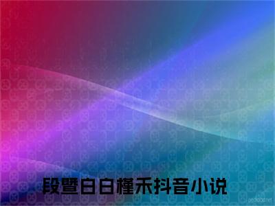 段暨白白槿禾免费小说-段暨白白槿禾全文阅读目录