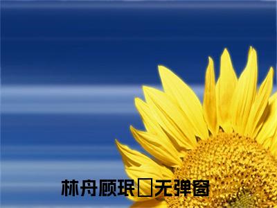 林舟顾珉瑄小说推荐-林舟顾珉瑄在线阅读无删版