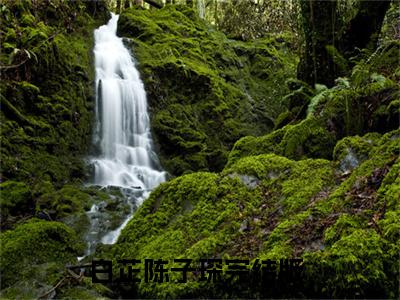 小说（白芷陈子琛）寒山全文阅读-白芷陈子琛（寒山）老书虫书荒推荐热点小说