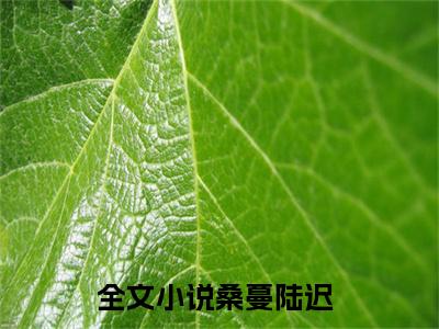 桑蔓陆迟正版小说最新章节在线阅读-小说桑蔓陆迟已完结全集大结局