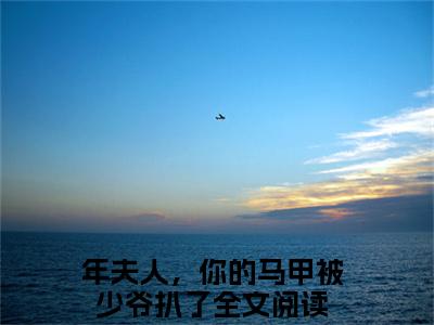 年景骁叶枳夏小说（年夫人，你的马甲被少爷扒了）全文免费阅读无弹窗大结局_年夫人，你的马甲被少爷扒了最新章节列表