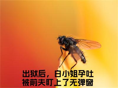 出狱后，白小姐孕吐被前夫盯上了（出狱后，白小姐孕吐被前夫盯上了）全文小说-出狱后，白小姐孕吐被前夫盯上了小说最新章节免费阅读