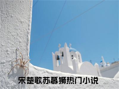 （宋楚歌苏慕狮）全文无弹窗阅读-小说主角叫什么宋楚歌苏慕狮