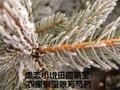 田园萌宝：农家俏厨娘方芍药小说已完结（田园萌宝：农家俏厨娘方芍药）全文免费阅读无弹窗大结局_田园萌宝：农家俏厨娘方芍药最新章节列表（田园萌宝：农家俏厨娘方芍药）